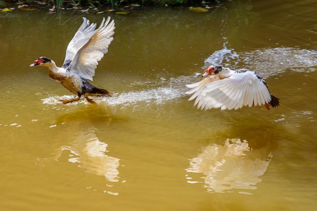 Pousada Luar Do Sertao Valenca  Buitenkant foto