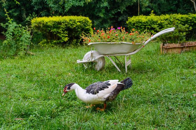 Pousada Luar Do Sertao Valenca  Buitenkant foto